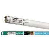 Sylvania T8 Daylightstar 59cm 18w
