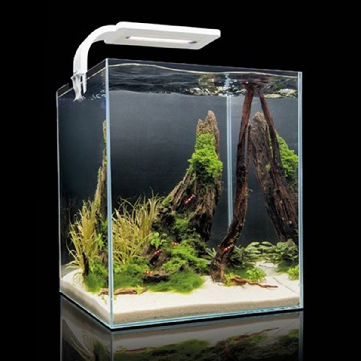 Aquael Shrimp Set 20 Black