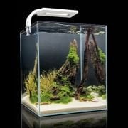 Aquael Shrimp Set 20 Black