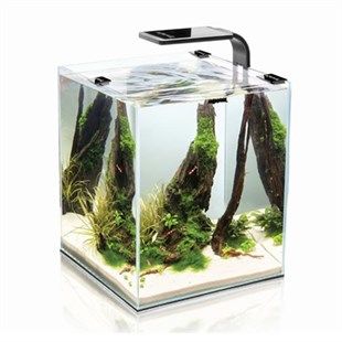 Aquael Shrimp Set 10 Black