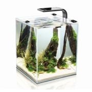 Aquael Shrimp Set 10 Black