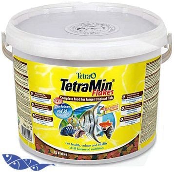 Tetramin Pul Yem 50gr Açık