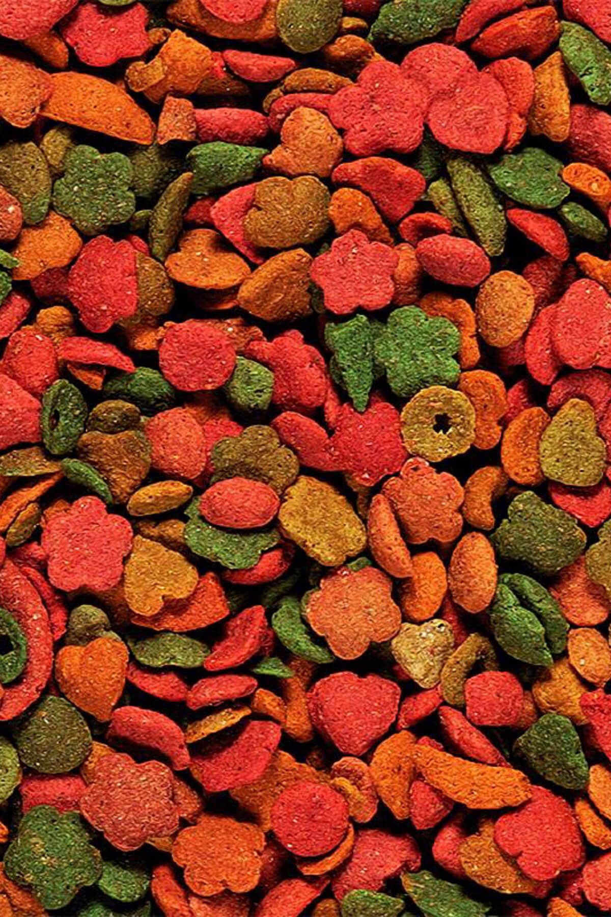 Versele Laga P19 Tropical 1Kg AÇIK