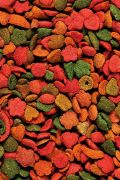 Versele Laga P19 Tropical 1Kg AÇIK