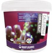Reeflowers Caledonia Coral Salt 22kg