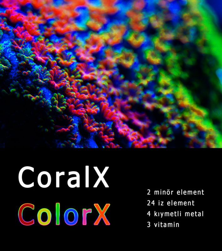 ColorX Renklendirici 500ML